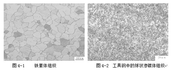 铁素体、渗碳体组织