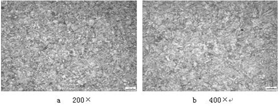 1Cr12Ni2WMoVNb 螺栓淬火回火金相组织