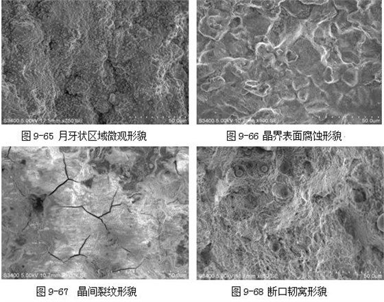 图9-67 晶间裂纹形貌 断口韧窝形貌