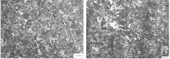 图14-29 M36螺栓心部金相组织 图14-30 M42螺栓心部金相组织
