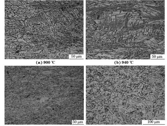 图５ 在不同温度、应变速率为０．０１０s－１下压缩至应变量为７０％后GH４１６９合金的显微组织
