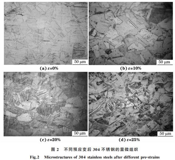 图２ 不同预应变后３０４不锈钢的显微组织