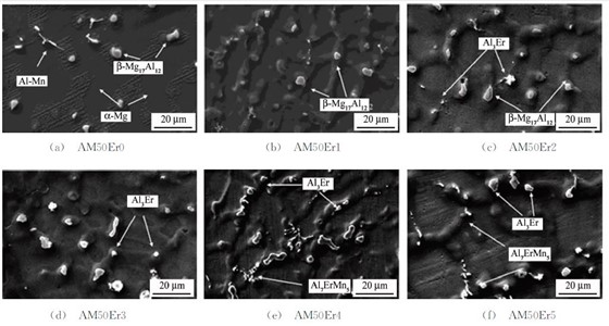 图３ 不同Ｅｒ含量ＡＭ５０合金的ＳＥＭ 图