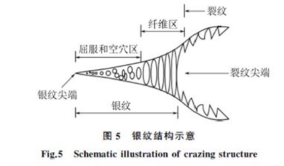 图５ 银纹结构示意