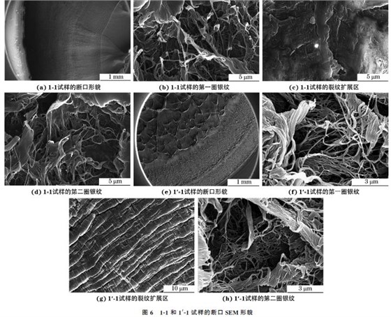 图６ １Ｇ１和１′Ｇ１试样的断口SEM 形貌