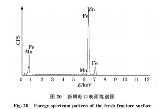 图２０ 新鲜断口表面能谱图