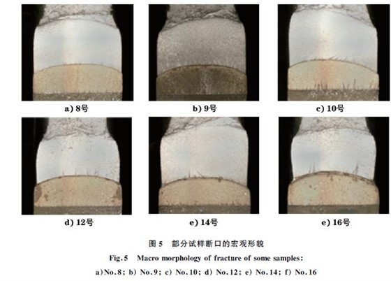 图５ 部分试样断口的宏观形貌