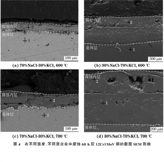 在不同温度、不同混合盐中腐蚀６０h后１２Cr１MoV钢的截面SEM 形貌