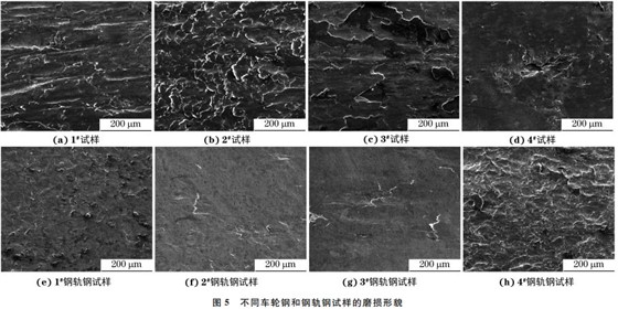图５ 不同车轮钢和钢轨钢试样的磨损形貌