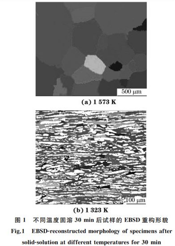 不同温度固溶３０min后试样的 EBSD重构形貌
