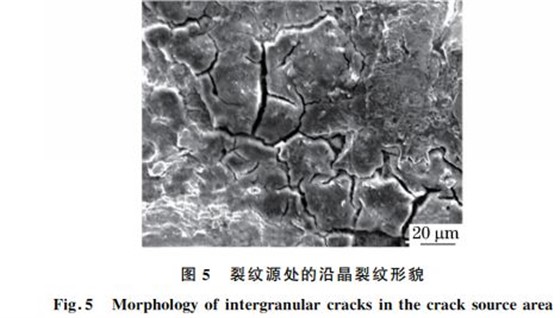 图５ 裂纹源处的沿晶裂纹形貌