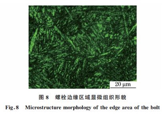 图８ 螺栓边缘区域显微组织形貌