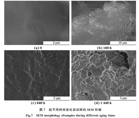 图７ 经不同时间老化后试样的SEM 形貌