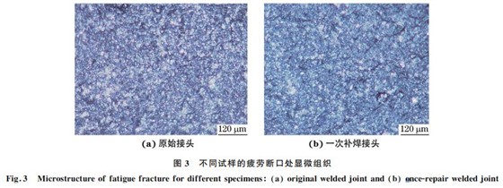 图３ 不同试样的疲劳断口处显微组织