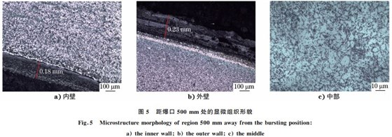 图５ 距爆口５００mm 处的显微组织形貌