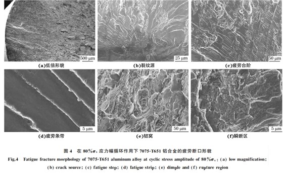 图４ 在８０％σs 应力幅循环作用下７０７５ＧT６５１铝合金的疲劳断口形貌