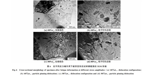 图６ 在不同应力幅作用下疲劳变形后试样横截面的 TEM 形貌