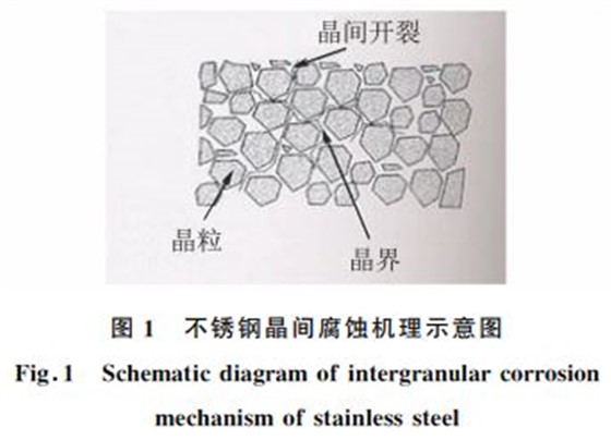 图1 不锈钢晶间腐蚀机理示意图