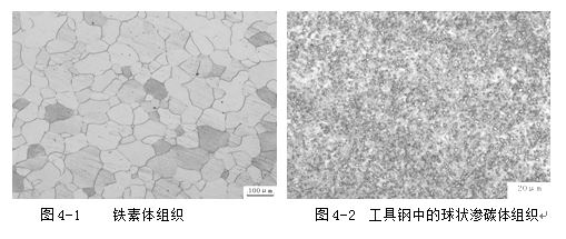 铁素体、渗碳体组织