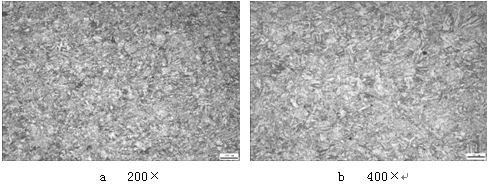 1Cr12Ni2WMoVNb 螺栓淬火回火金相组织