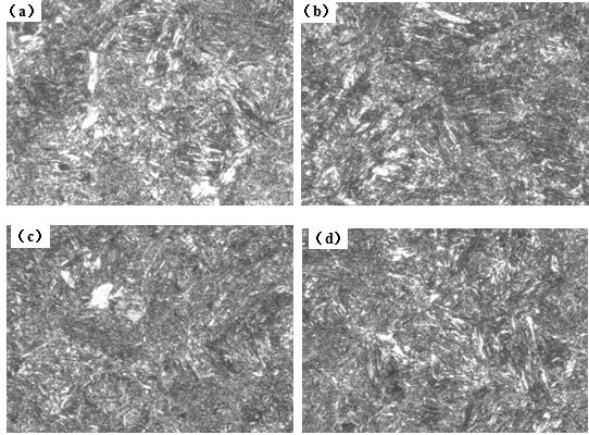 图12-15 （a、b、c、d） 1～4号样金相组织 500×