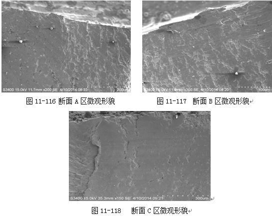 图11-116 断面A区微观形貌 图11-117 断面B区微观形貌
