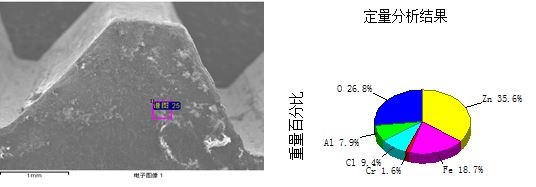 图13-100 C区断面形貌及能谱分析