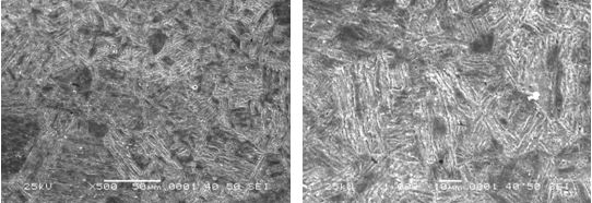 图16-69 无裂纹件的组织形貌 500×图16-70 无裂纹件的组织形貌 1000×