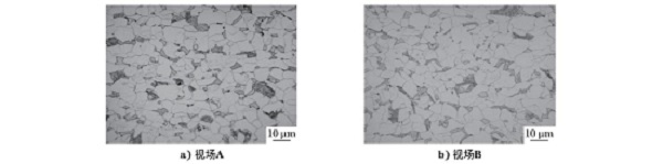 双相钢黑白金相显微组织形貌