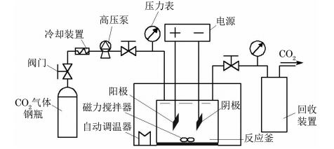 图１ SCFＧCO２ 电铸装置示意