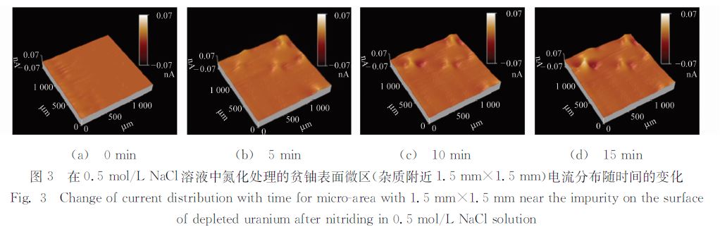在０．５ｍｏｌ／ＬＮａＣｌ溶液中氮化处理的贫铀表面微区