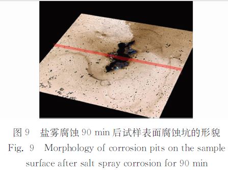 盐雾腐蚀９０ｍｉｎ后试样表面腐蚀坑的形貌