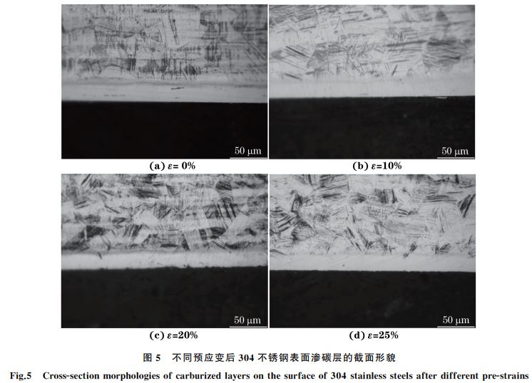 不同预应变后３０４不锈钢表面渗碳层的截面形貌