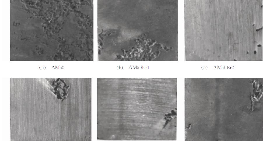 图７ 不同Ｅｒ含量的ＡＭ５０合金在３．５％ ＮａＣｌ溶液中浸泡７２ｈ后的腐蚀形貌