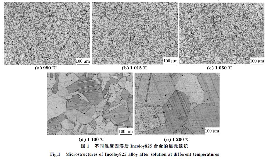 图１ 不同温度固溶后Incoloy８２５合金的显微组织