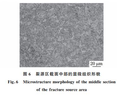 图６ 裂源区截面中部的显微组织形貌