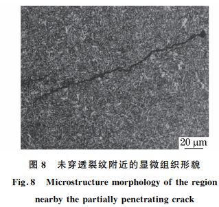 图８ 未穿透裂纹附近的显微组织形貌