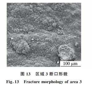 图１３ 区域３断口形貌