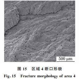 图１５ 区域４断口形貌