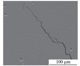 图１６ 未穿透裂纹形貌