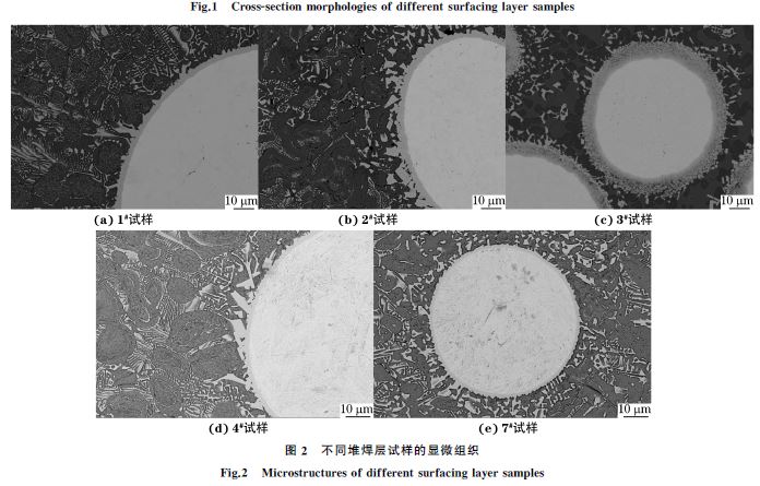 图２ 不同堆焊层试样的显微组织