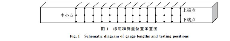 图１ 标距和测量位置示意图