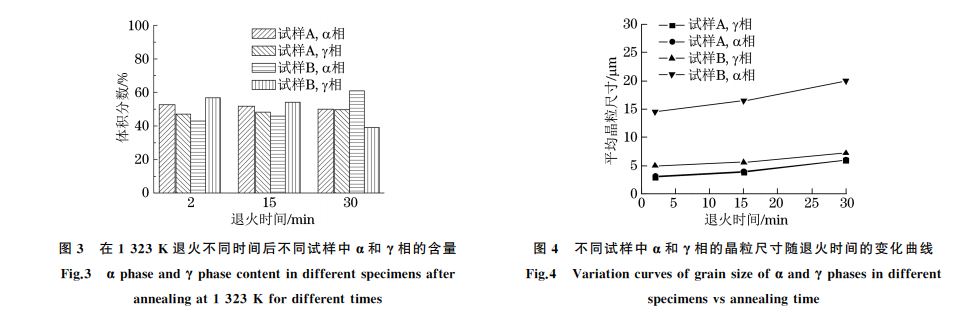 不同试样中α和γ相的晶粒尺寸随退火时间的变化曲线