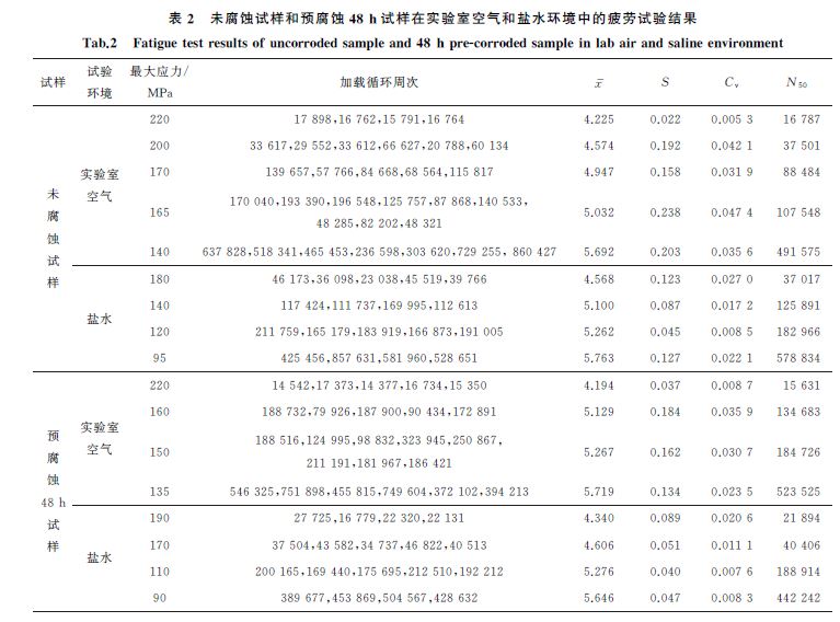 表２ 未腐蚀试样和预腐蚀４８h试样在实验室空气和盐水环境中的疲劳试验结果