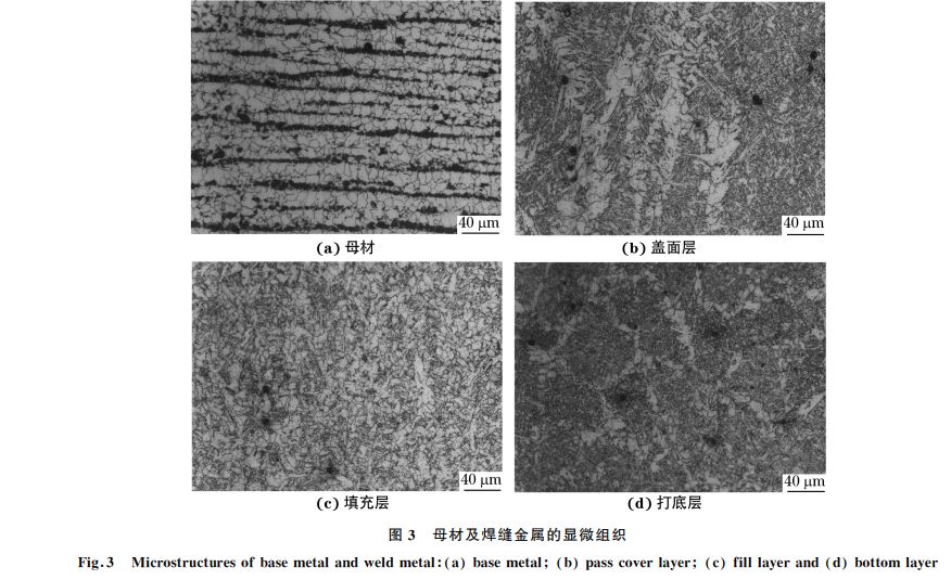 图３ 母材及焊缝金属的显微组织