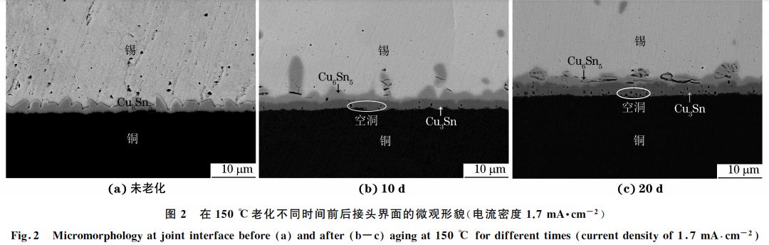 图２ 在１５０ ℃老化不同时间前后接头界面的微观形貌(电流密度１．７mA??cm－２)