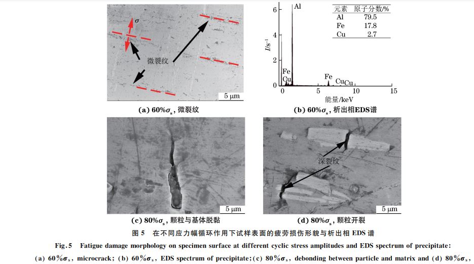 图５ 在不同应力幅循环作用下试样表面的疲劳损伤形貌与析出相 EDS谱