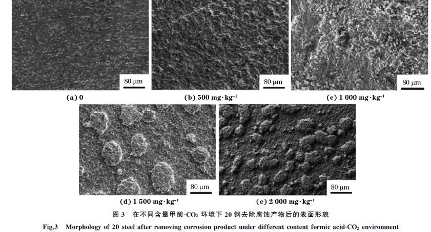 图３ 在不同含量甲酸ＧCO２ 环境下２０钢去除腐蚀产物后的表面形貌