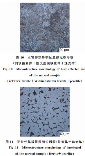 图１１ 正常件基板显微组织形貌(铁素体＋珠光体)