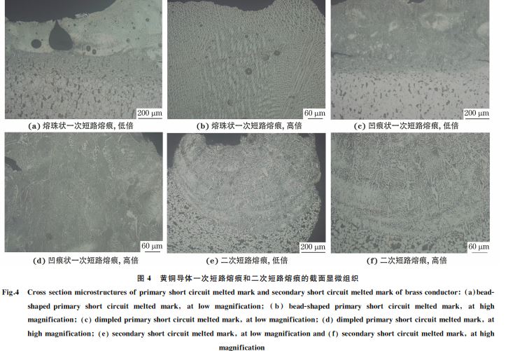 图4 黄铜导体一次短路熔痕和二次短路熔痕的截面显微组织